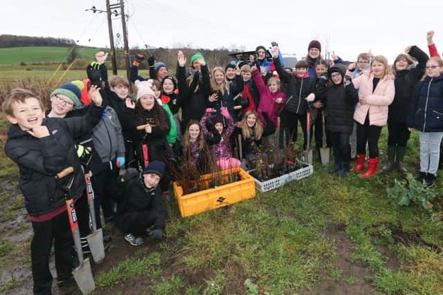 Markinch Primary pupils helped to plant 130 metres of native hedging along the Fife Pilgrim Way. Some 145 volunteers from all over Fife contributed £120,000 in free manpower to help establish the route which will open to the public this summer.