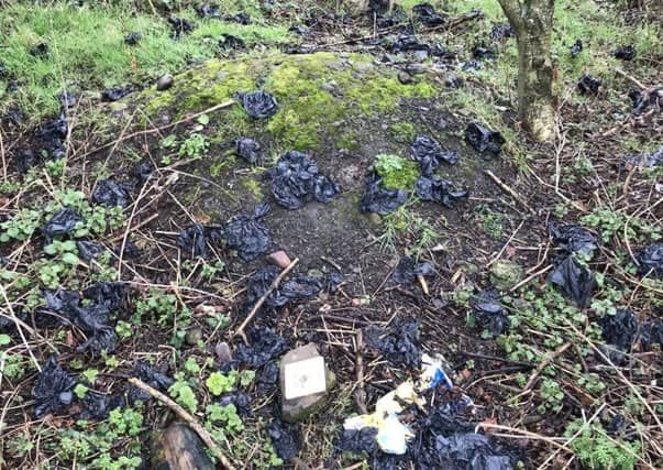 Ian Gourlay took matters into his own hands - with gloves and bin bags.
