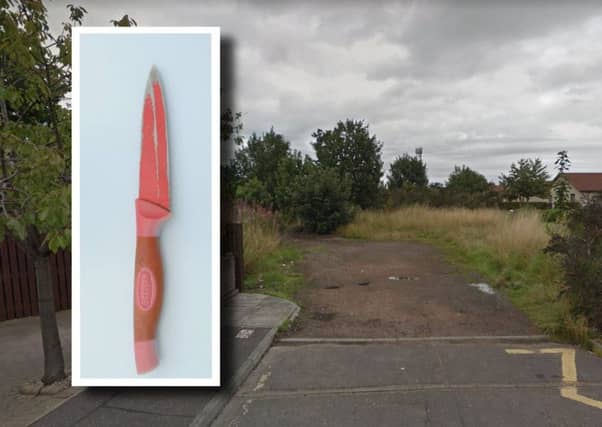 A picture of the knife has bene released.