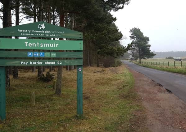 Can you help clean up at Tentsmuir?