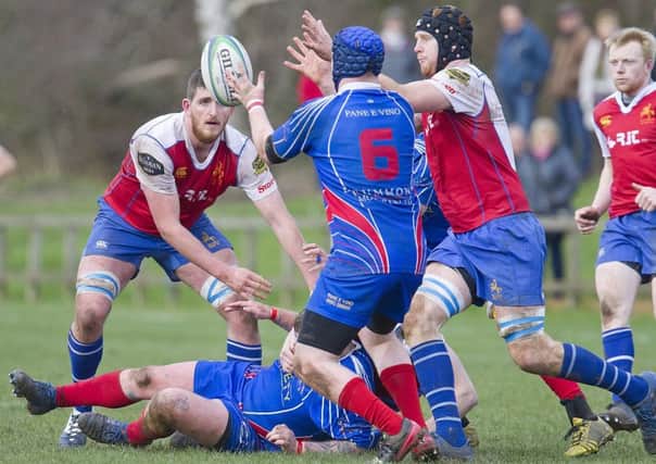 Kirkcaldy's Flanker Jack Denton grapples for the loose ball against Jed-Forest (Pic by Bill McBurnie)