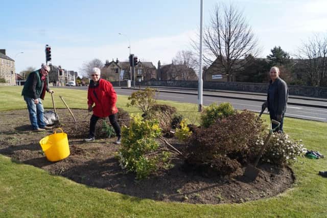 Volunteers have been doing colourful planting across the town.