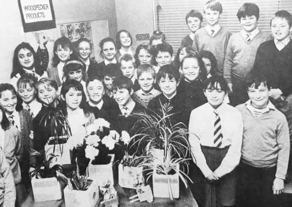 Dunearn Primary School's Woodpecker Products in 1991
