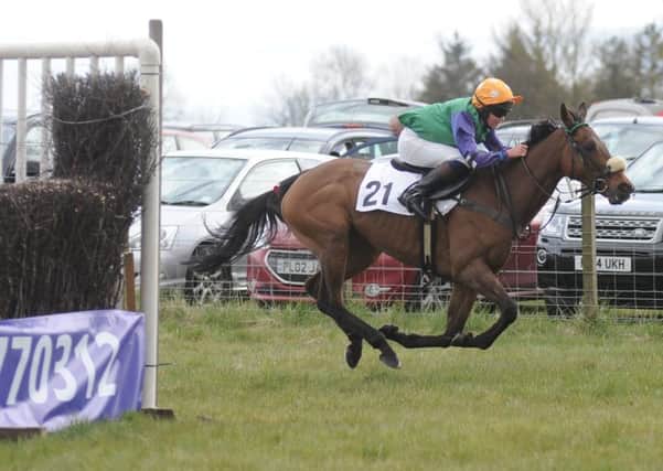 Annual Point to Point Meet at Balcormo near Leven (Pic: George McLuskie)