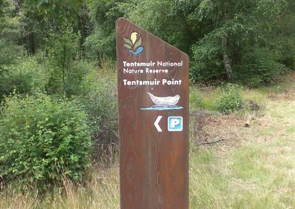 Fife Coastal Path
Tenstmuir Forest