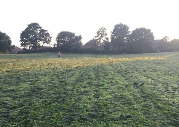 Mounds of grass left on John Dixon Park in Markinch.
