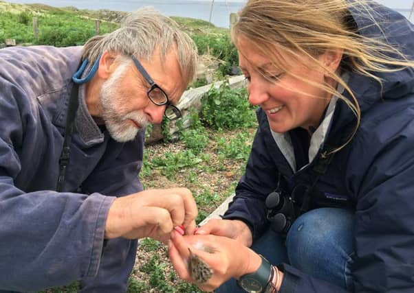 Dr Chris Redfern and Bex Outram SNH with Hybrid chick (credit SNH-David Steel)