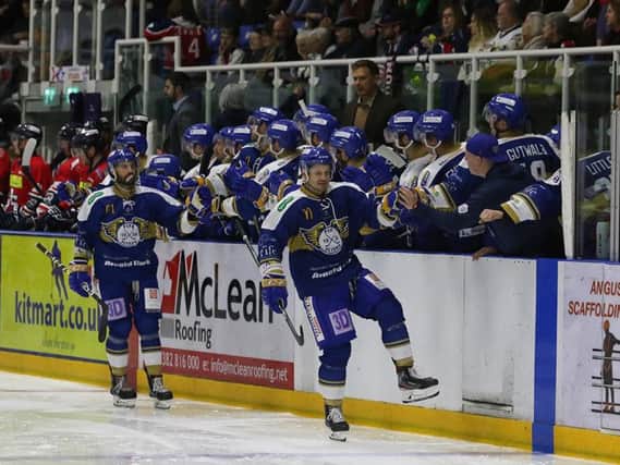 Chase Schaber celebrates with the Fife Flyers bench after his opener at Dundee Stars. Pic: Derek Black