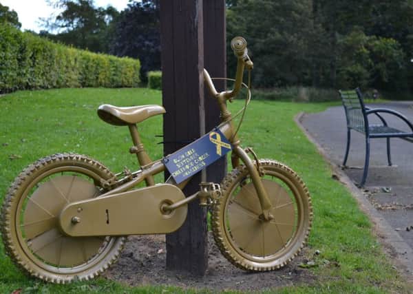 One of the spray-painted gold bikes in Ravenscraig Park which has been removed..