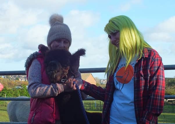 Linda and Claire with Bambi the alpaca.