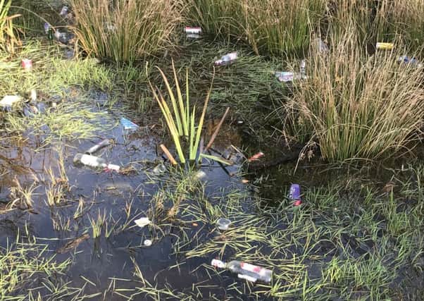 Empty bottles of alcohol dumped along with other items at Dunnikier Park in Kirkcaldy