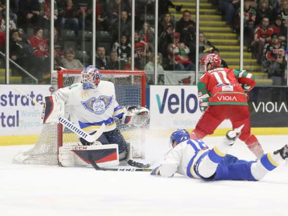 Netminder Adam Morrison was Fife Flyers' star man in the defeat to Cardiff Devils last night. Pic: Helen Brabon