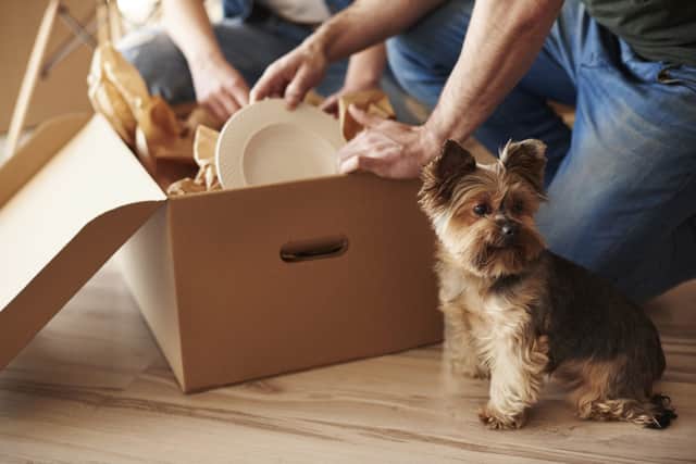 Searching for a property to rent with pets in tow doesn’t always come easy, with some cities proving better than others for renting options that allow pets (Photo: Shutterstock)