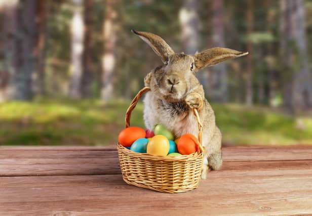 The Easter bunny has long been associated with the holiday of Easter, but where does the famous rabbit come from and what’s his role? (Photo: Shutterstock)